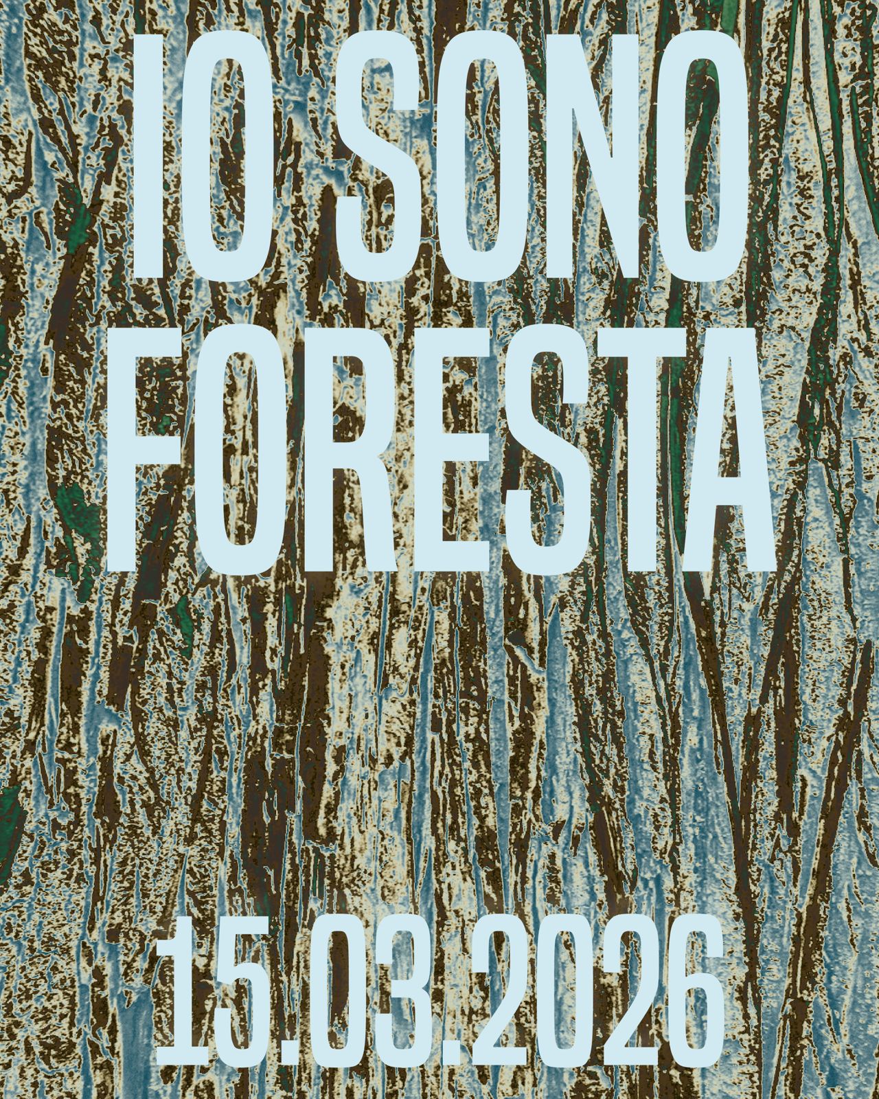 IO SONO FORESTA