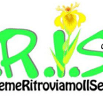 Concerto per Associazione IRIS - Novi Ligure